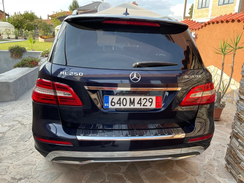 Mercedes-Benz ML 250 Blue TEC, снимка 4 - Автомобили и джипове - 47153755