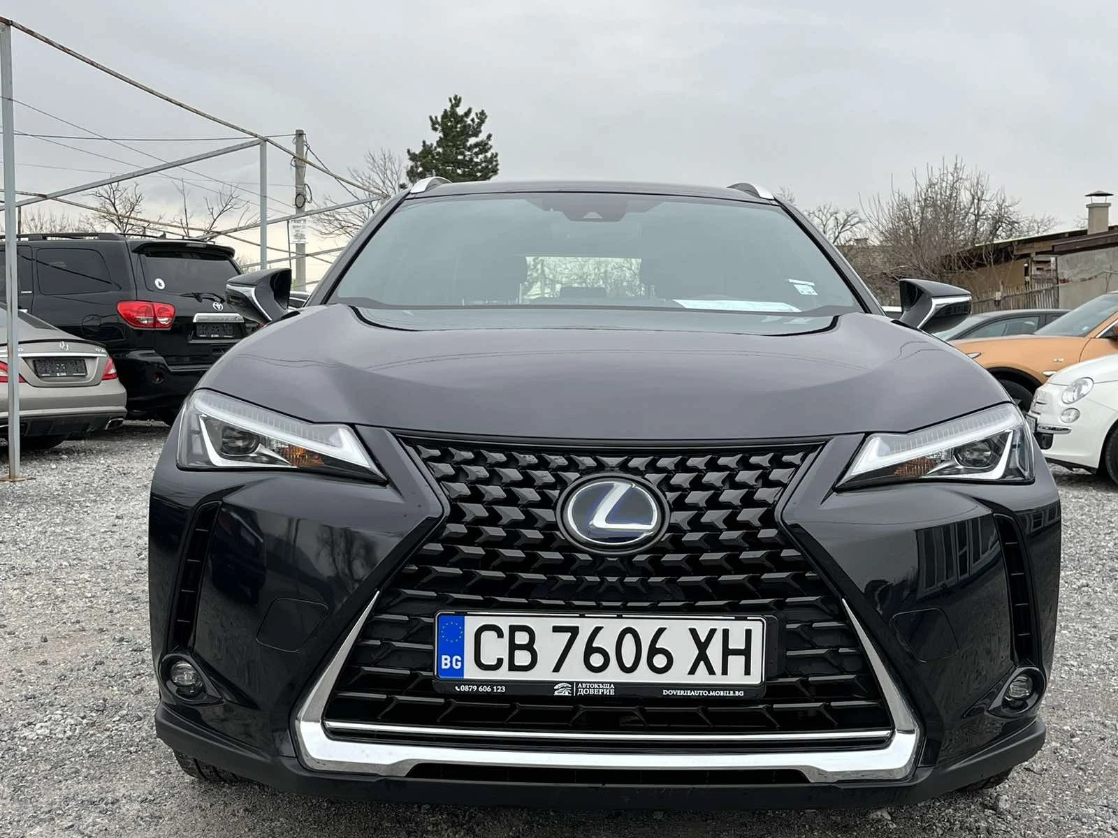 Lexus UX 250h 250/Hybrid - изображение 2