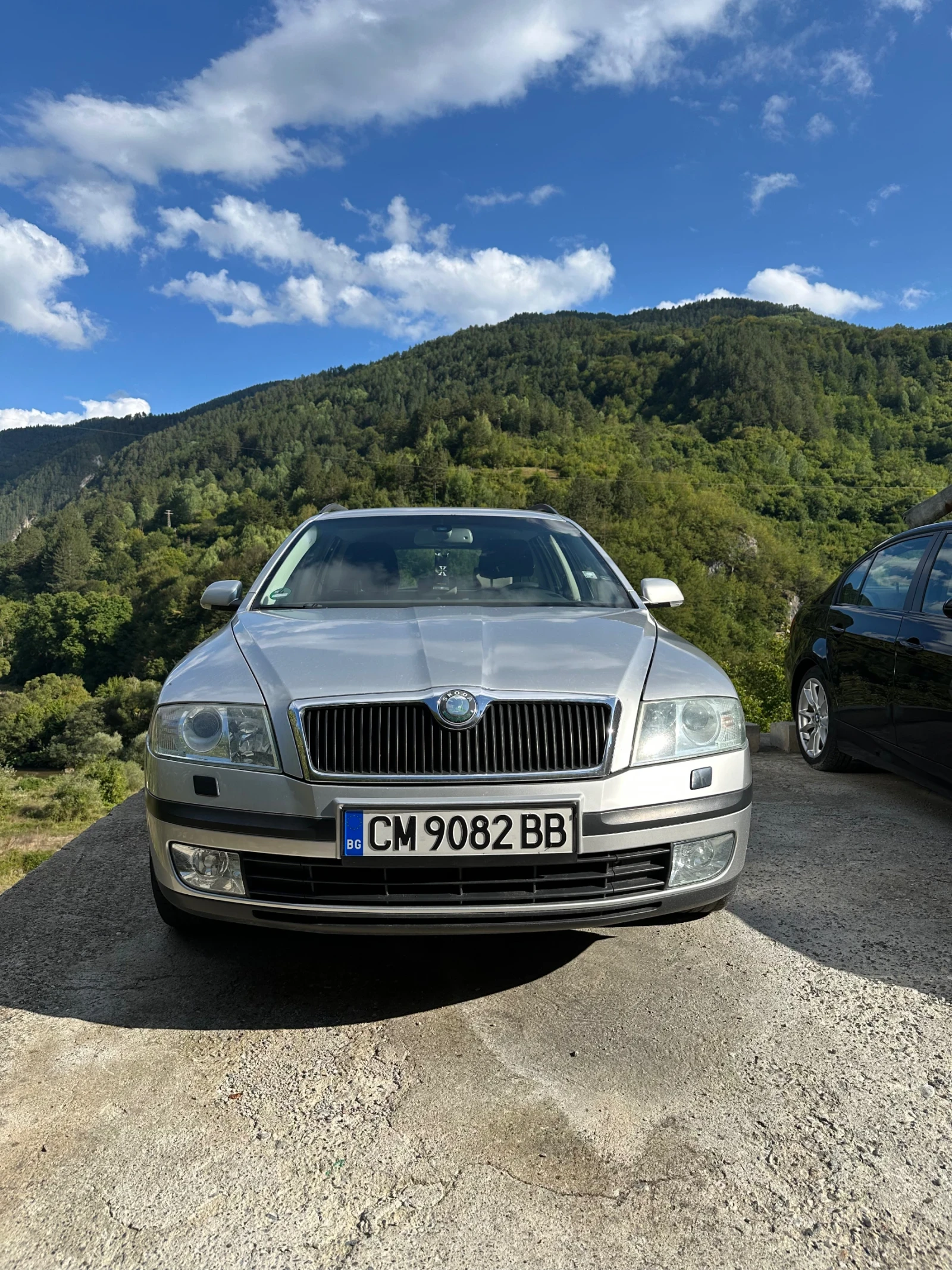 Skoda Octavia 1.9TDI 4x4, снимка 2 - Автомобили и джипове - 56058786