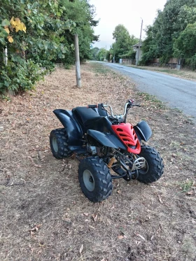     Aeon Cobra 125cc