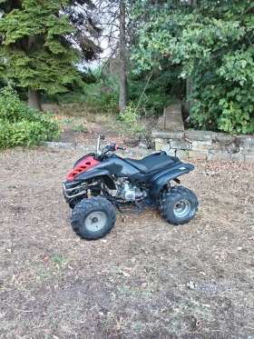 Aeon Cobra 125cc | Mobile.bg    4
