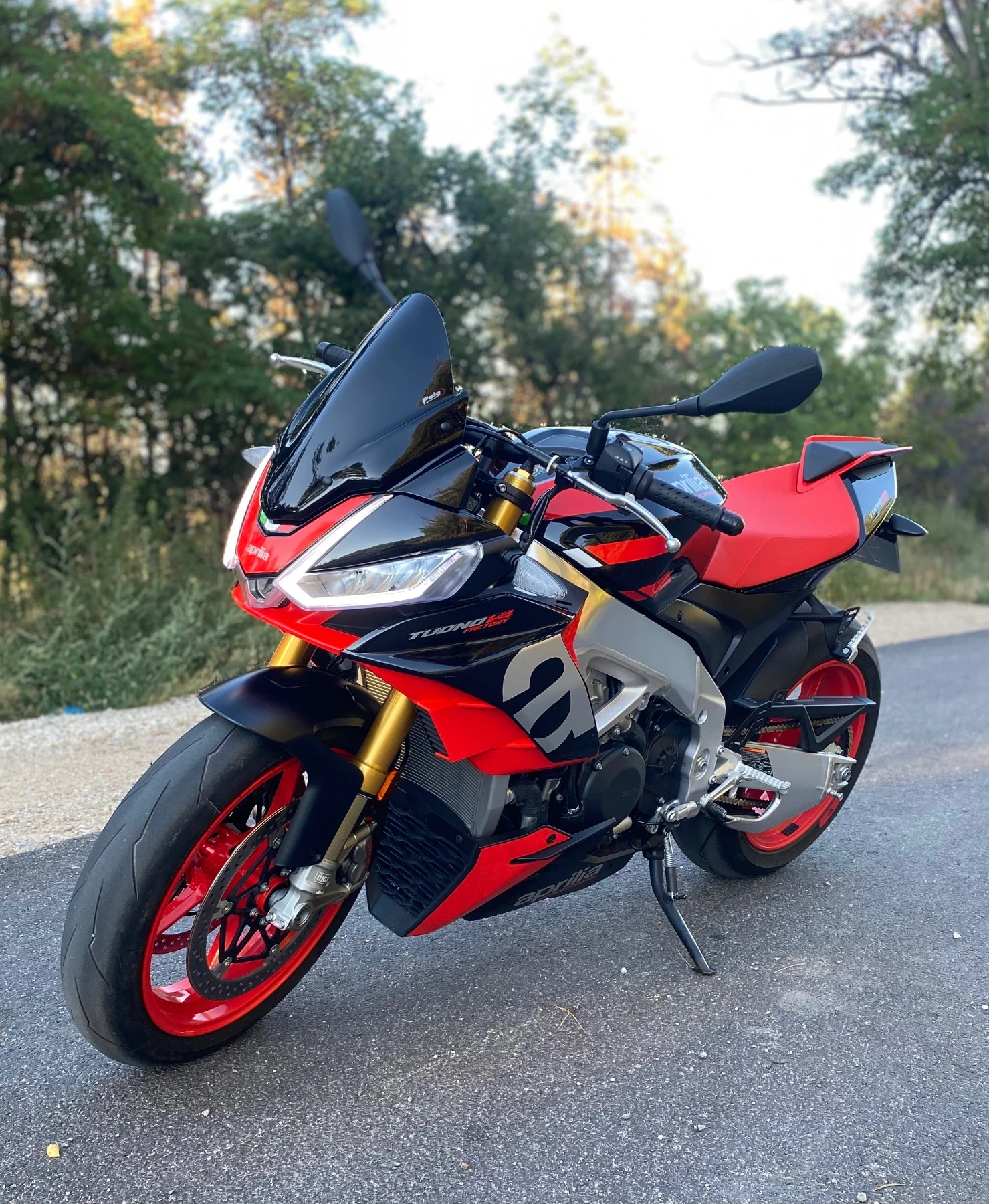 Aprilia Tuono V4 1100 Factory  - изображение 3