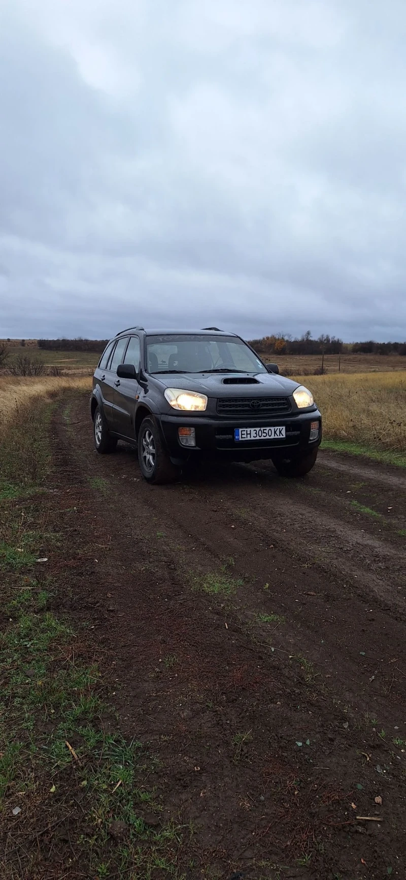 Toyota Rav4 2.0 116 D4D 4x4, снимка 4 - Автомобили и джипове - 48203820