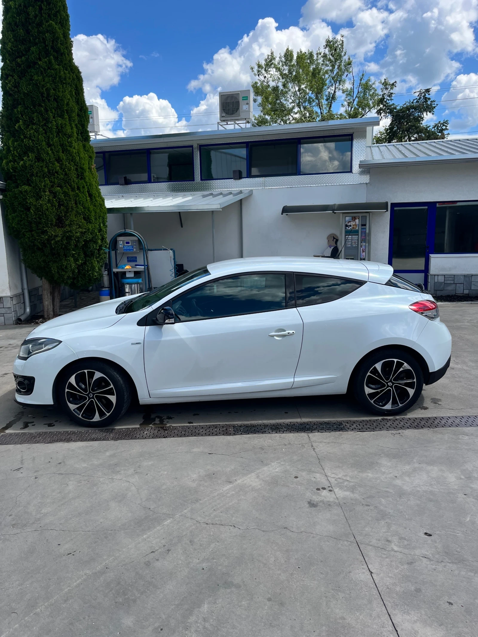 Renault Megane Bose , снимка 3 - Автомобили и джипове - 55033743