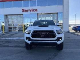 Toyota Tacoma * TRD PRO * 2 �����* �������* KEYLESS* PANO* JBL*  | Mobile.bg � ����� ������ 6