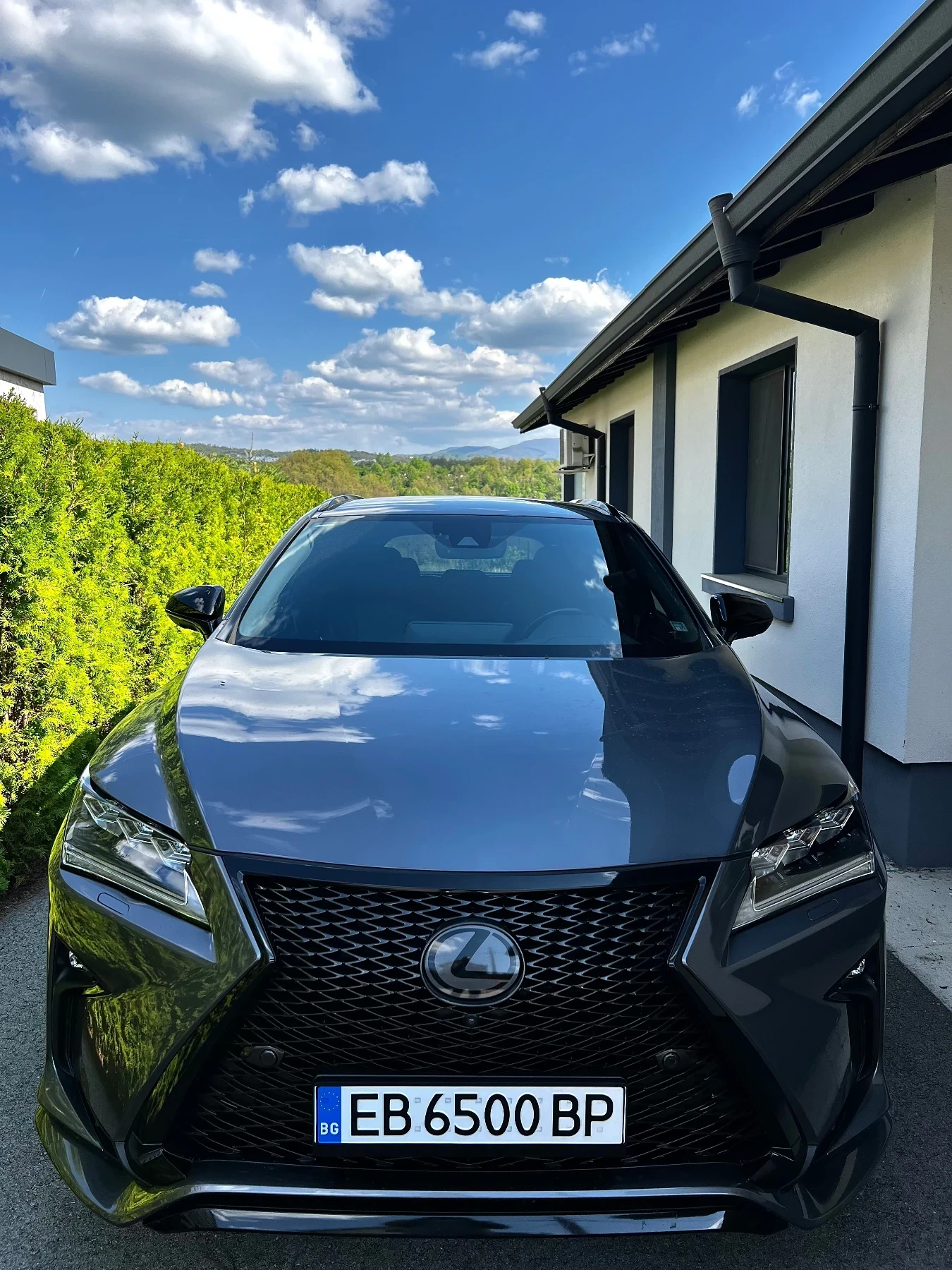 Lexus RX 450h F-Sport - изображение 9