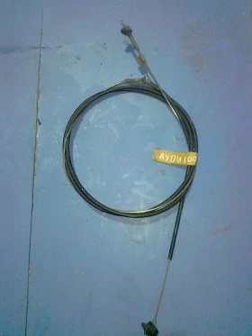 ����� �� �������� �� ���� ������ ����� �� ���� 100 �����