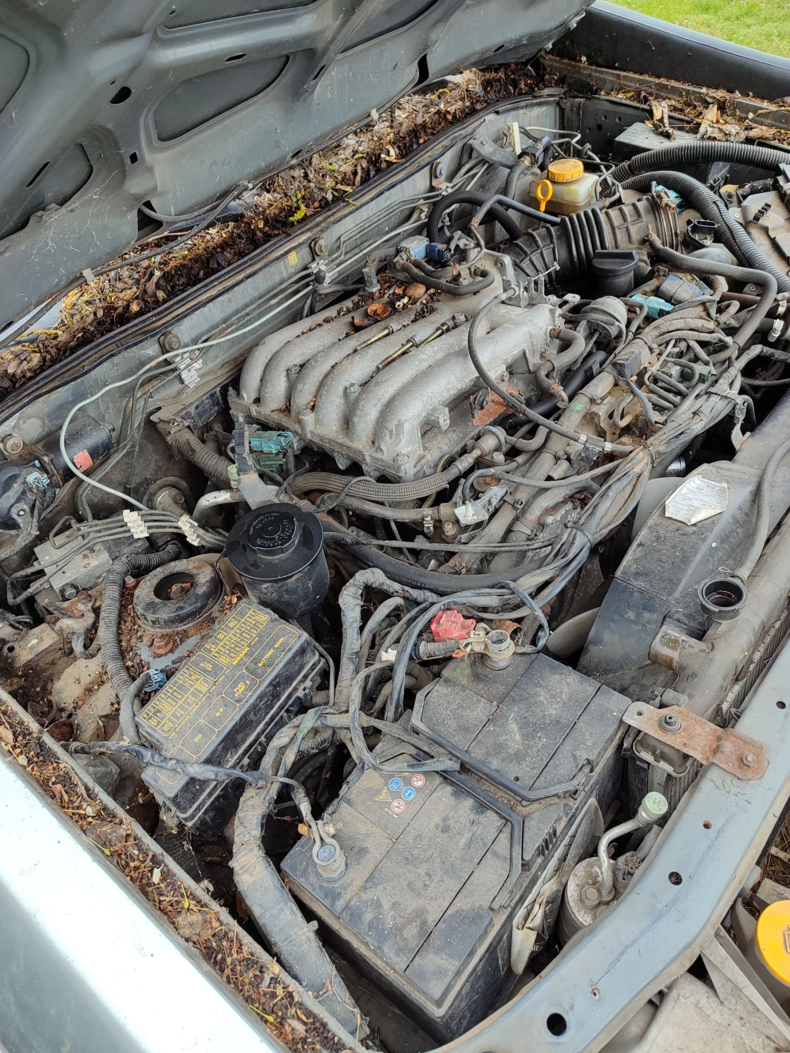 Nissan Pathfinder 3.5 На части.  - изображение 8