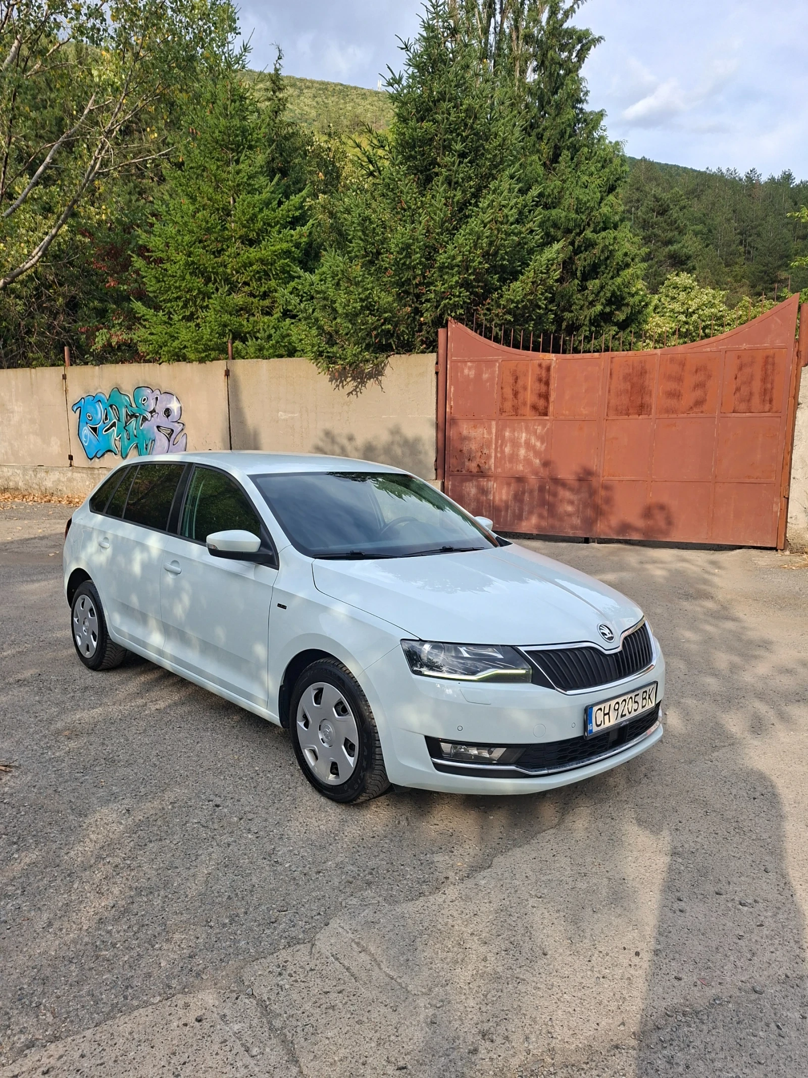 Skoda Rapid 1.4 TDI, снимка 2 - Автомобили и джипове - 55942909