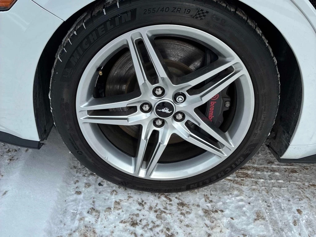 Ford Mustang GT  CARFAX - изображение 7