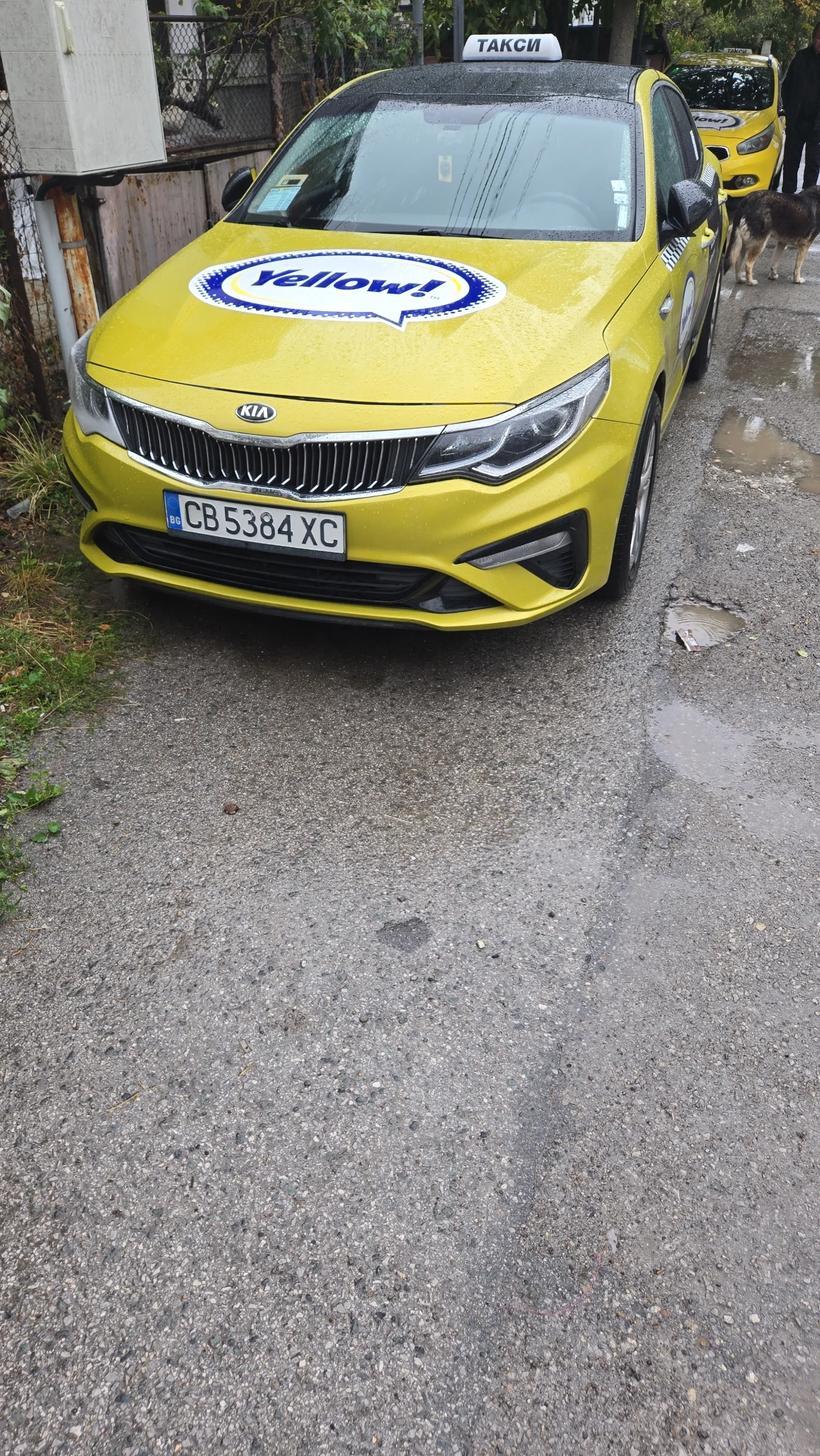 Kia K5 | Mobile.bg � ����������� 1