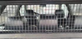 Audi S6 На части , снимка 5