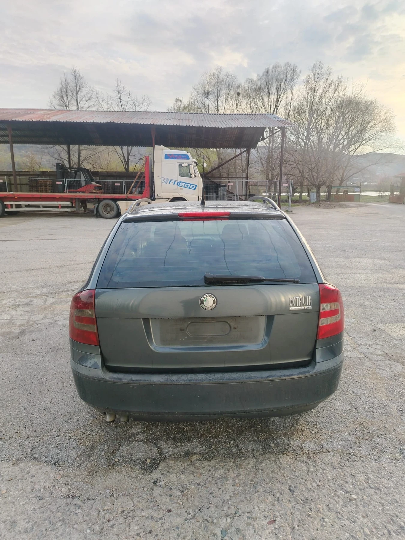 Skoda Octavia 2008 1.9TDI, снимка 4 - Автомобили и джипове - 54183778