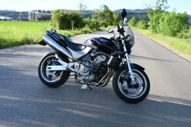     Honda Hornet