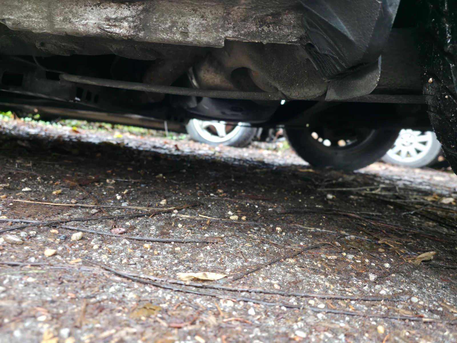 Seat Ibiza 1.4 TDI - изображение 4