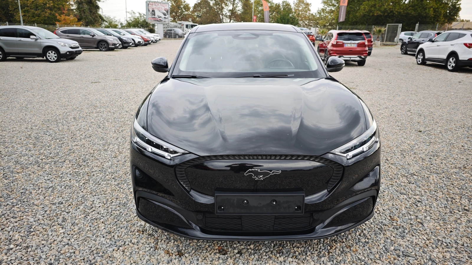 Ford Mustang Mach-E ������� ���!!/������� ������/MACH-E ELECTRIC 198KW | Mobile.bg � ����������� 5