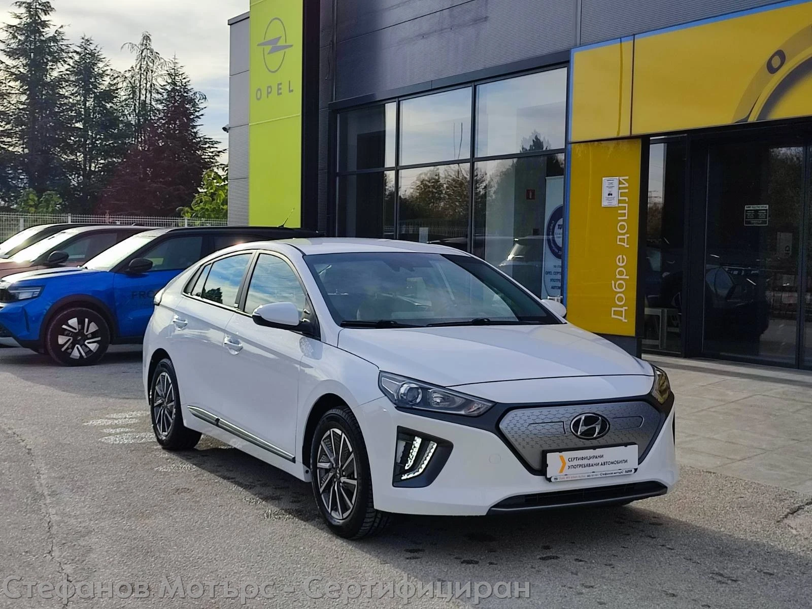 Hyundai Ioniq Elektro Limousine (136hp)  | Mobile.bg � ����������� 3
