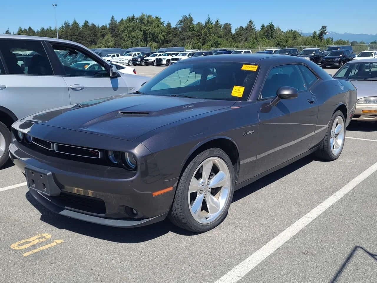 Dodge Challenger R/T/CARFAX/5.7/���������/����������� | Mobile.bg � ����������� 2