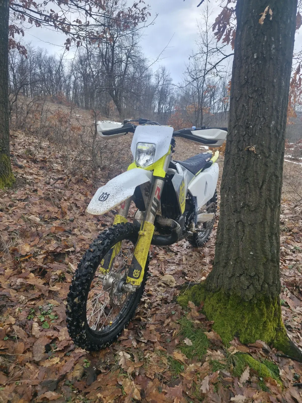 Husqvarna TC 250 | Auto.bg — изображение 1