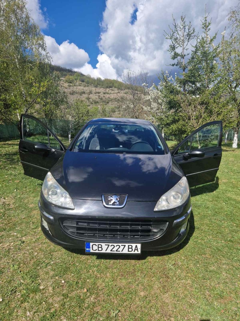 Peugeot 407 2.0 HDI, снимка 1 - Автомобили и джипове - 45597299