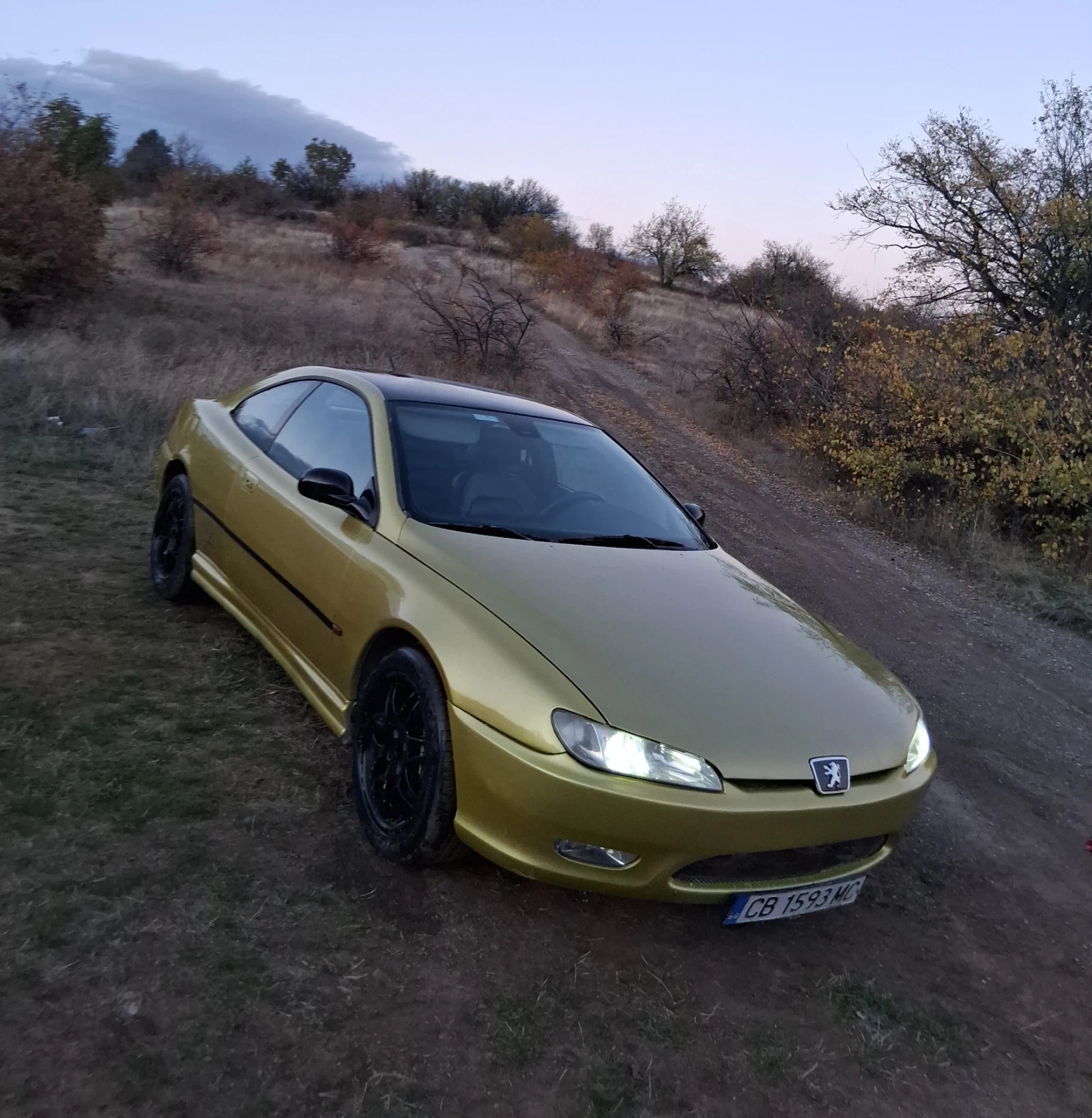 Peugeot 406 3.0 V6 | Mobile.bg — изображение 1