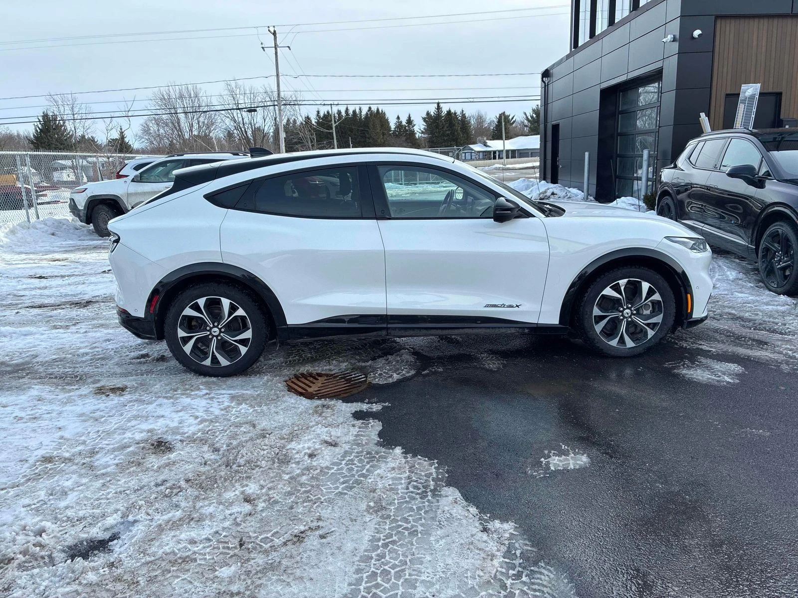 Ford Mustang Mach-E � ����������� & ���� ������ | Mobile.bg � ����������� 3