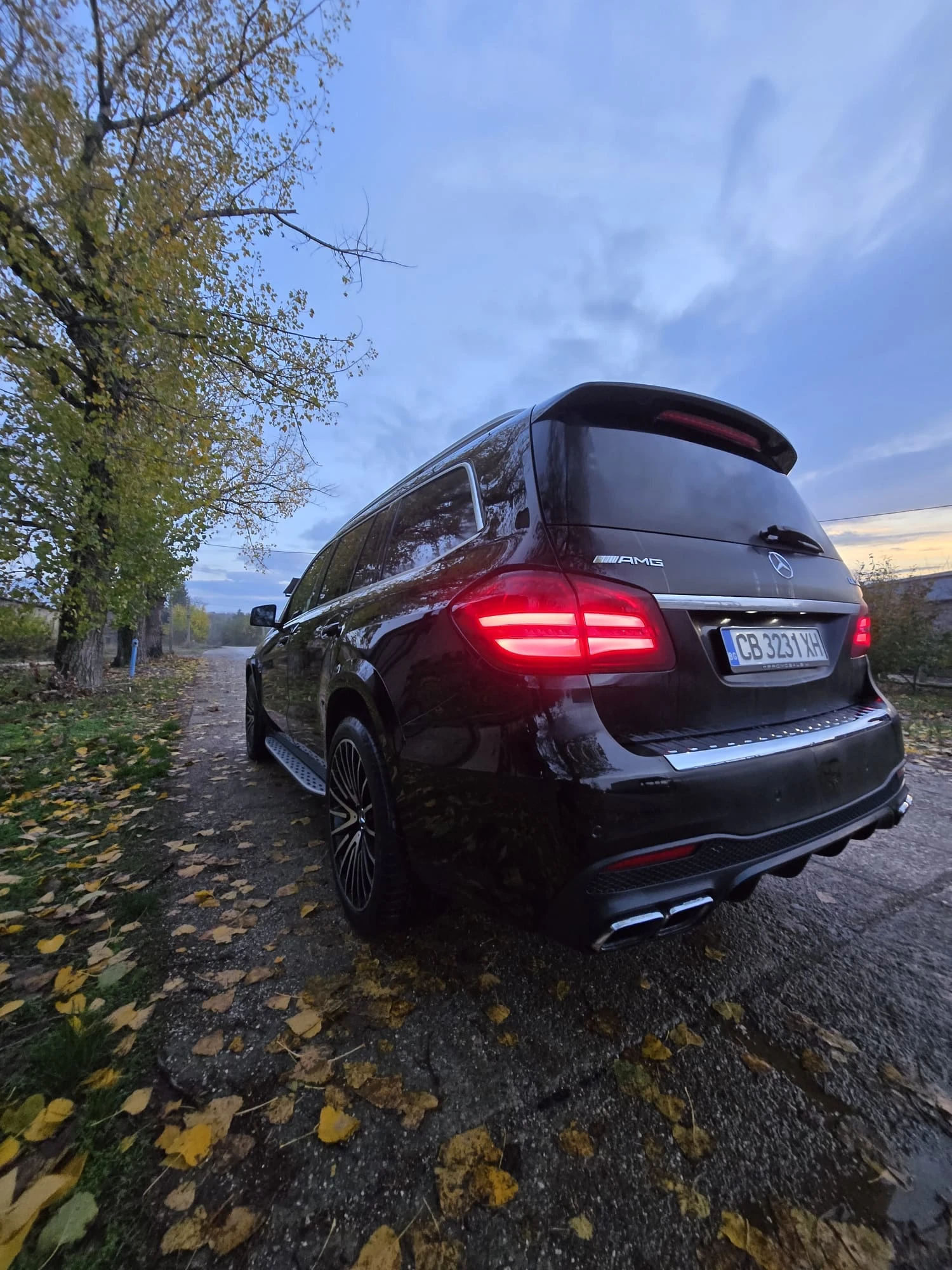 Mercedes-Benz GLS 63 AMG  - изображение 4