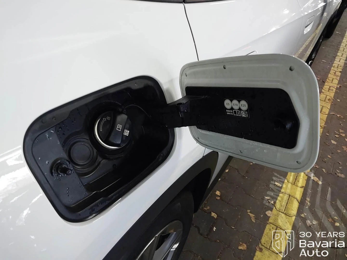 BMW X1 30e xDrive Steptronic | Mobile.bg � ����������� 12