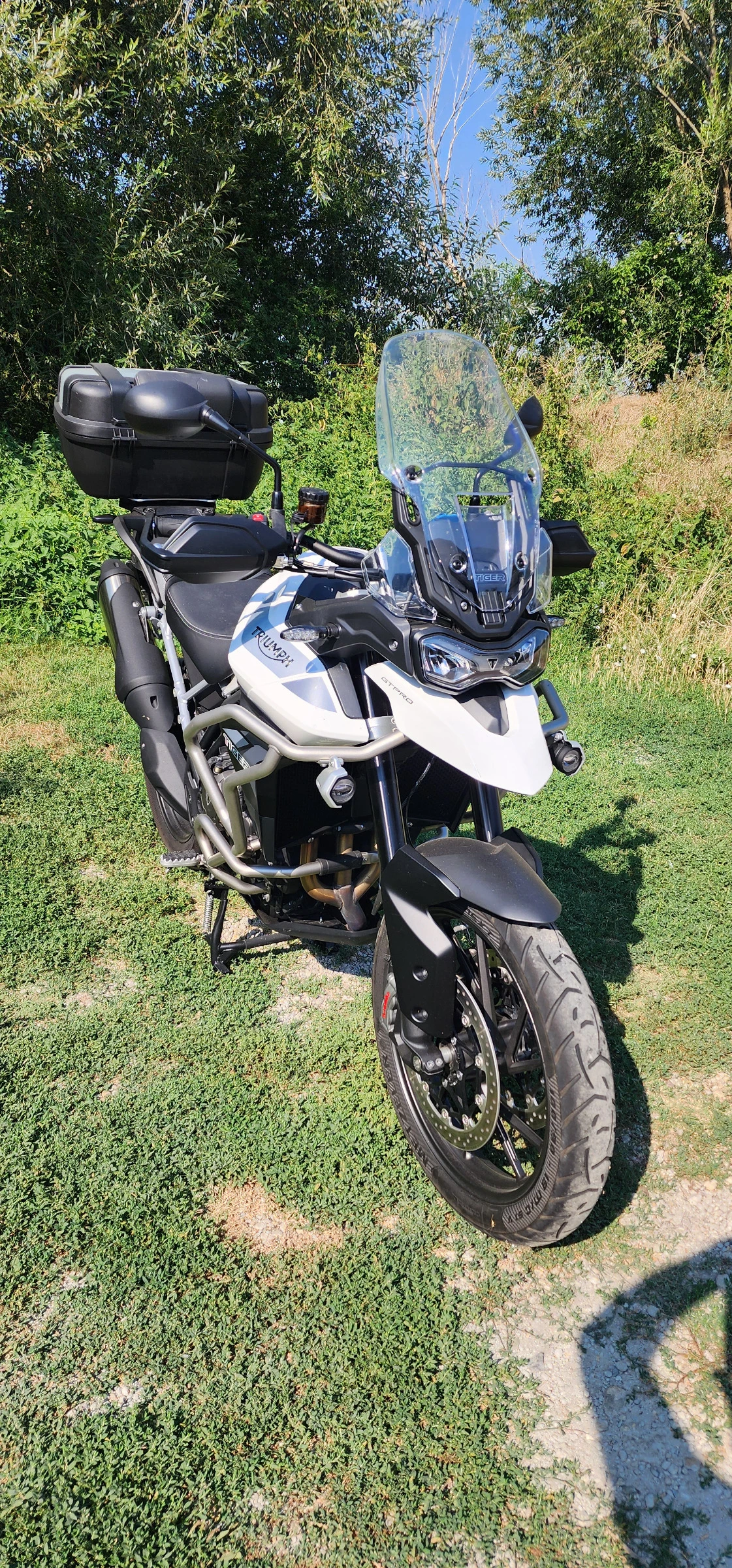 Triumph Tiger 900GT PRO - изображение 6