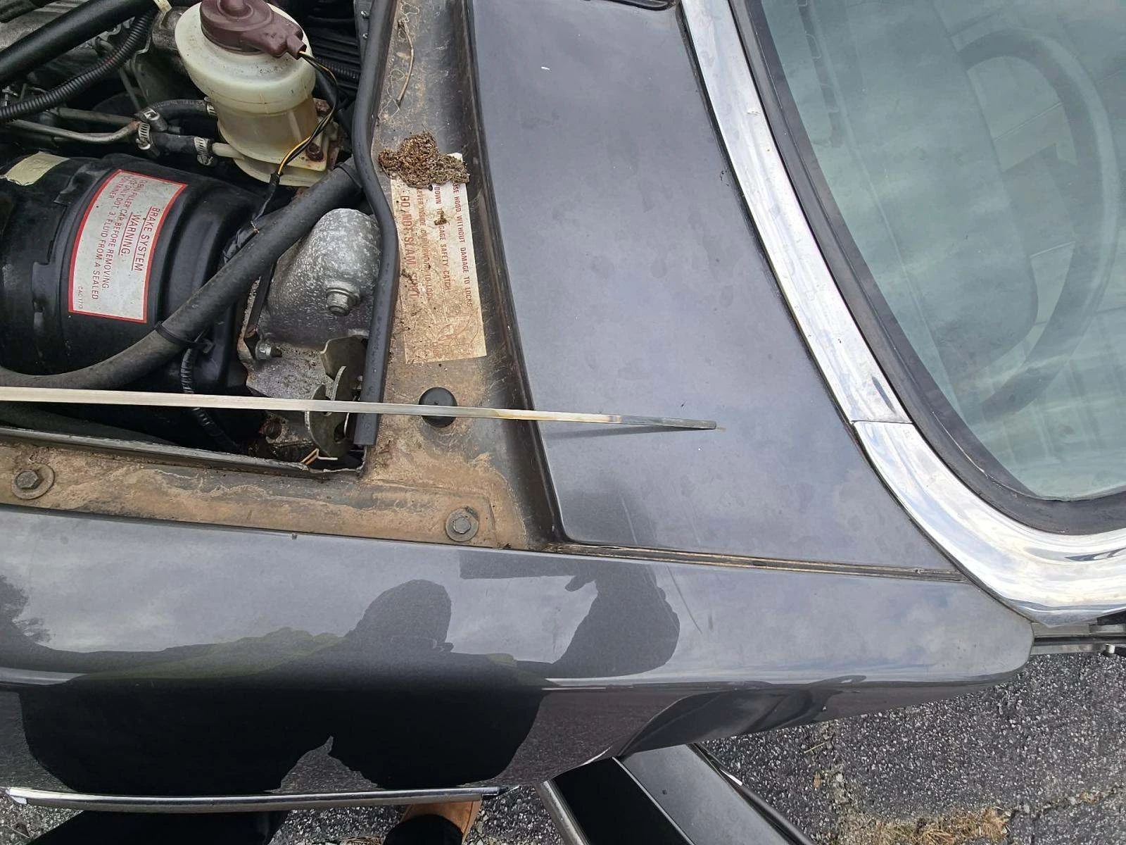 Jaguar Xjs Coupe, снимка 17 - Автомобили и джипове - 53967899