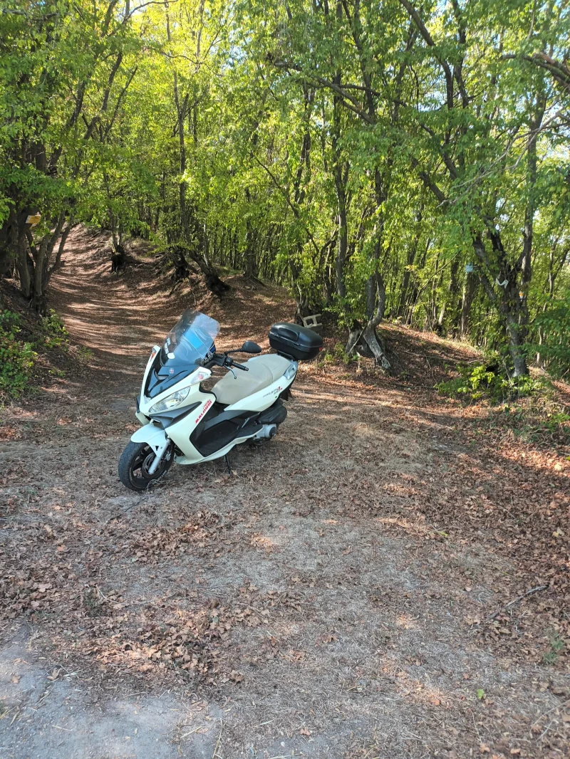 Malaguti Madison 250ie RS