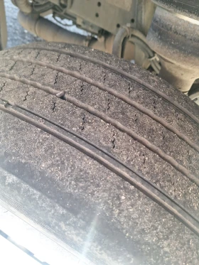 Man Tgx TGX18.440 4x2 LLS | Mobile.bg � ����� ������ 15