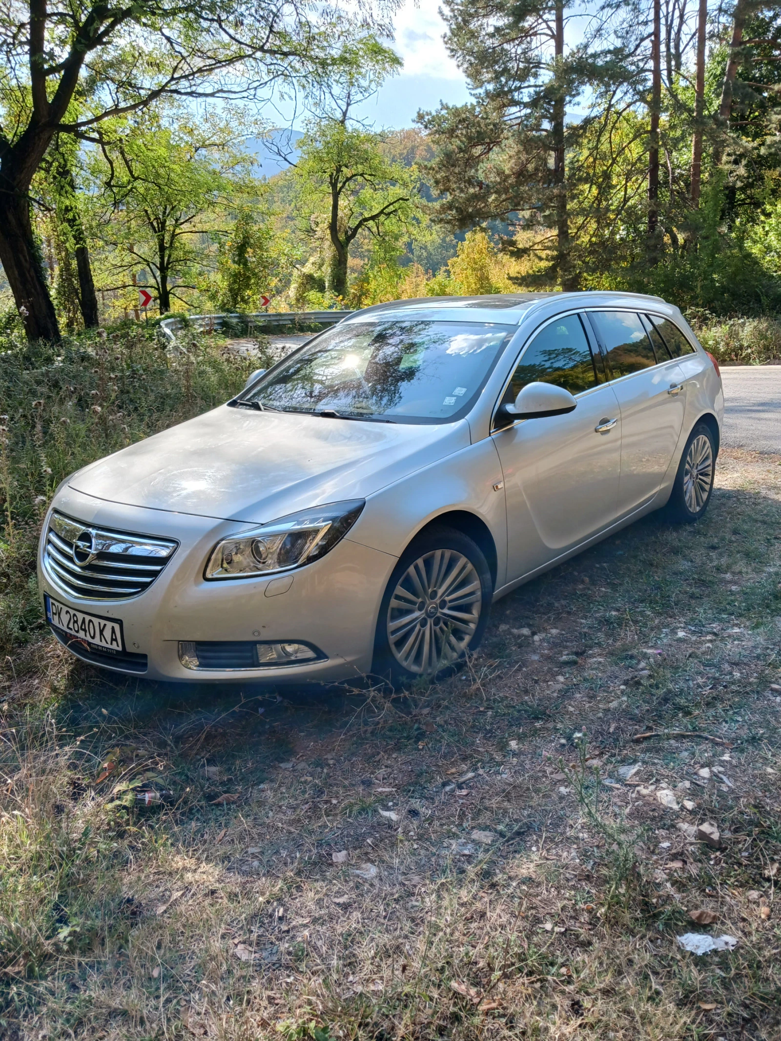 Opel Insignia 2000   | Mobile.bg   14