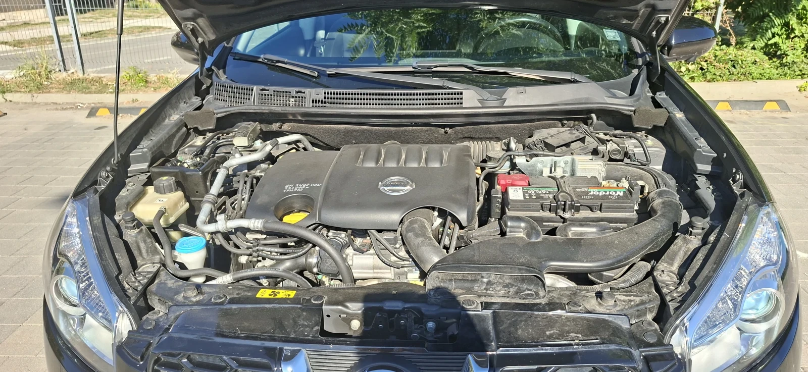 Nissan Qashqai SUV | Mobile.bg � ����������� 8