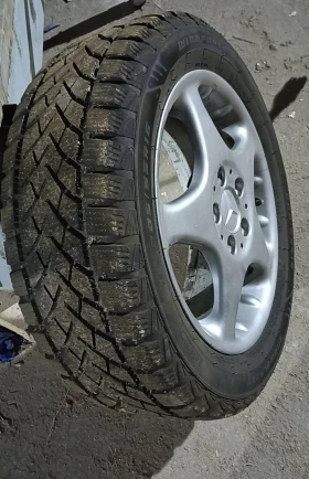 ������ ���� � ������