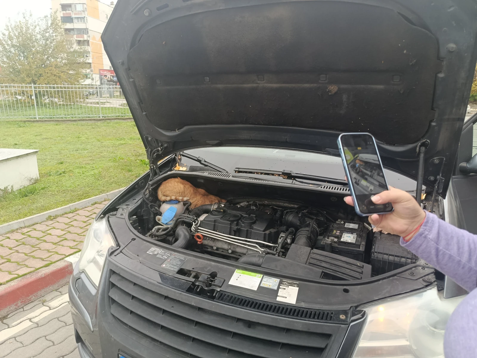 VW Touran, снимка 12 - Автомобили и джипове - 54244811