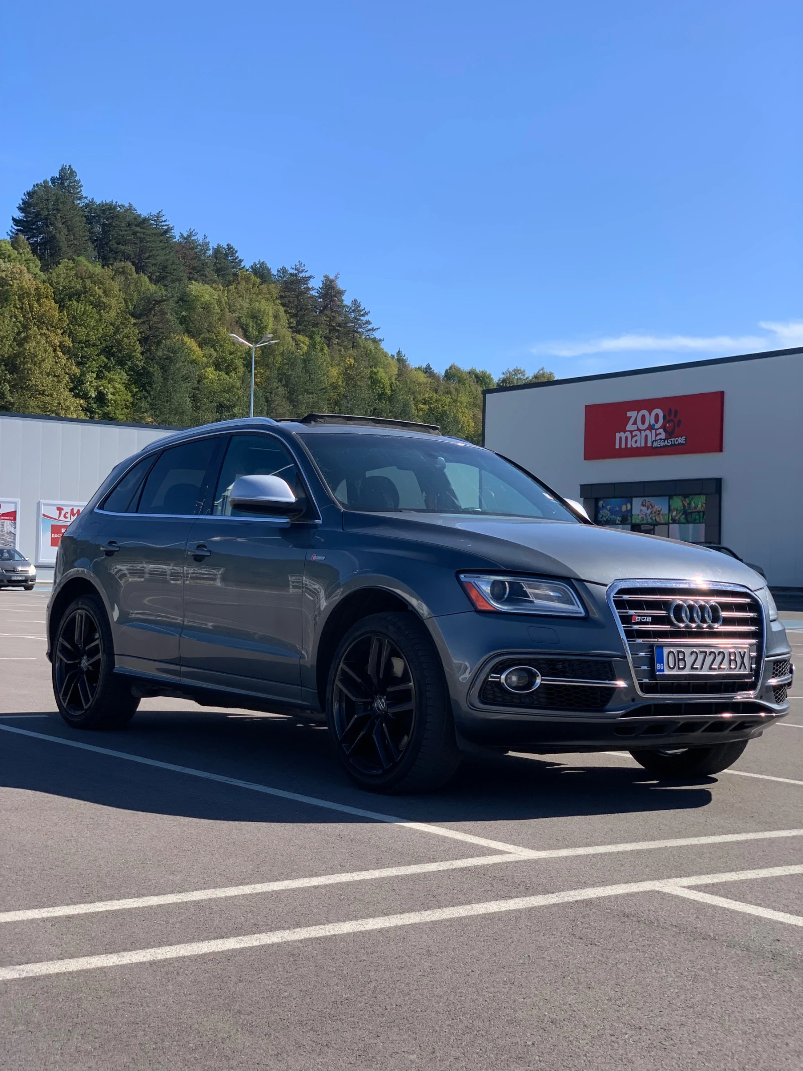 Audi SQ5 8R 3.0TFSI - изображение 5