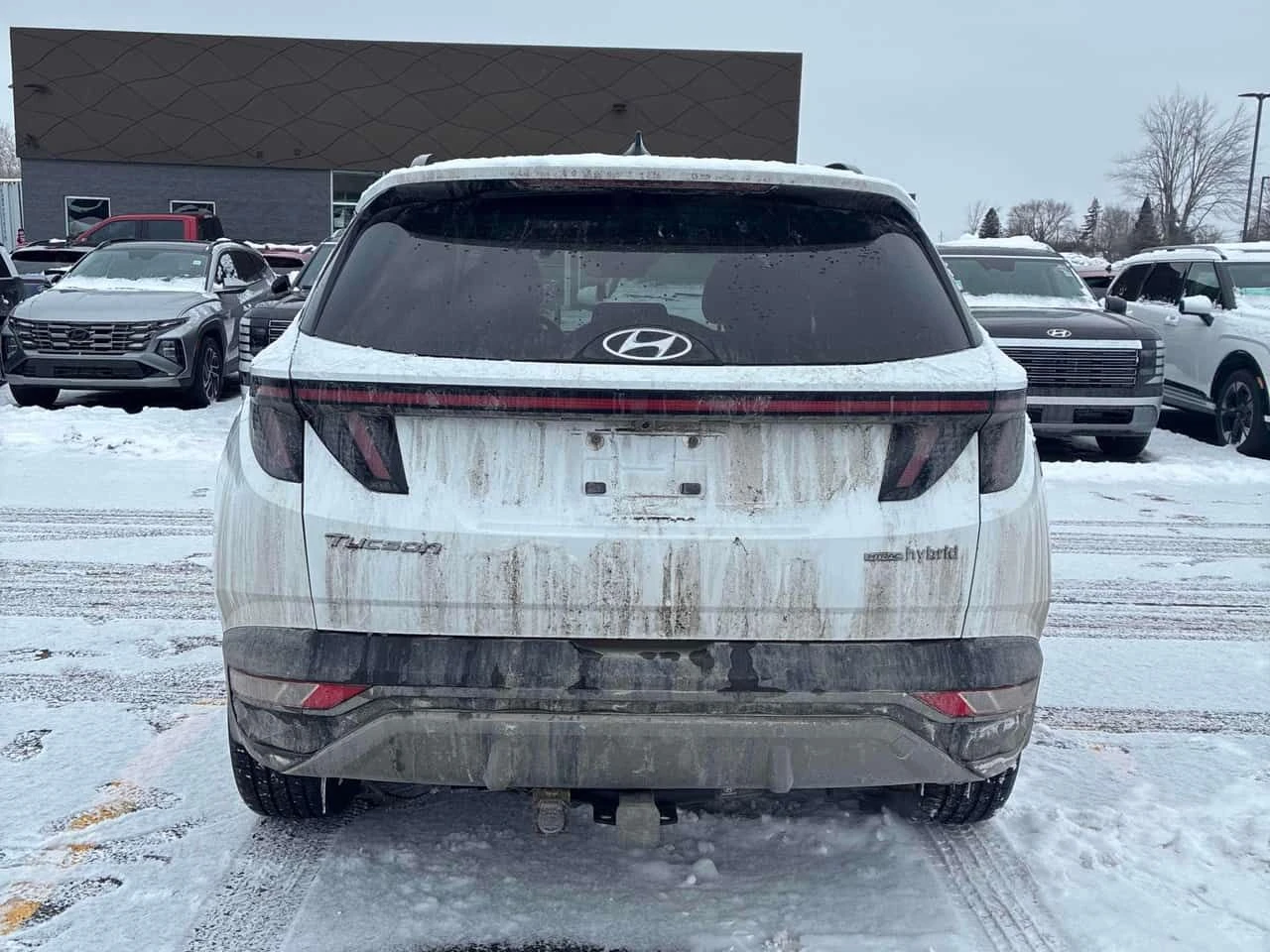 Hyundai Tucson * Luxury *  ОТ ПРЕДСТАВИТЕЛСТВО НА HYUNDAI * , снимка 4 - Автомобили и джипове - 54243122