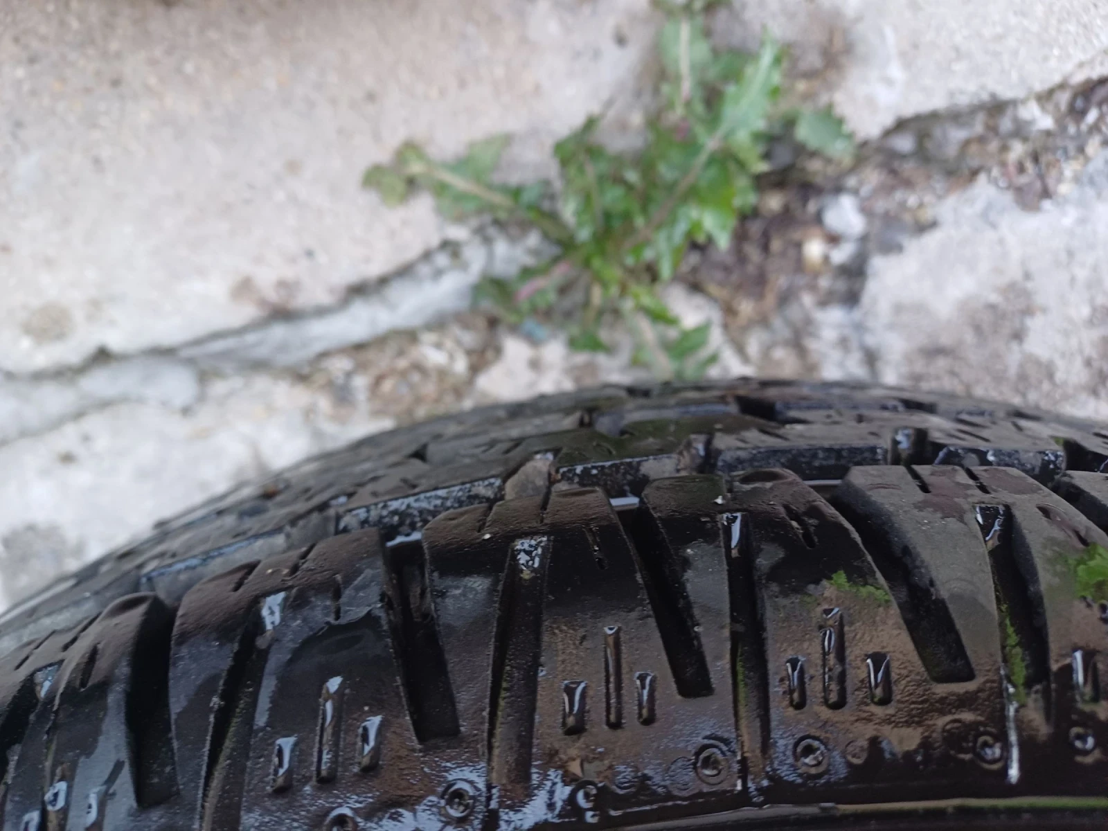    195/65R14  Opel Vectra | Mobile.bg   2