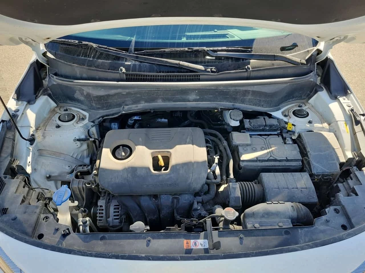 Kia Seltos * EX * CARFAX *  | Mobile.bg � ����������� 17
