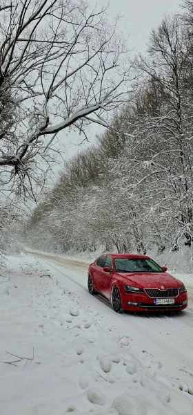 Skoda Superb L&K | Mobile.bg    10