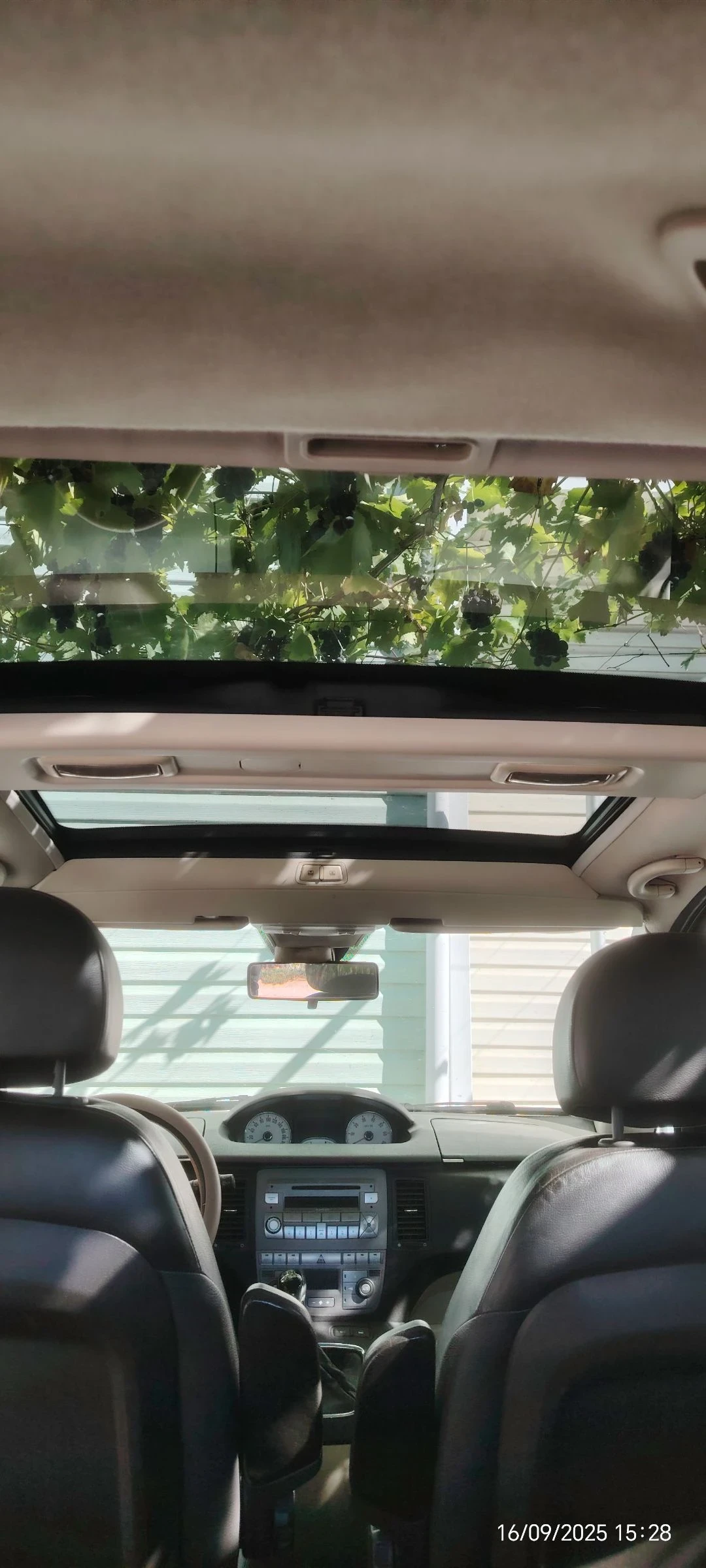 Lancia Musa 1, 4i | Mobile.bg   14