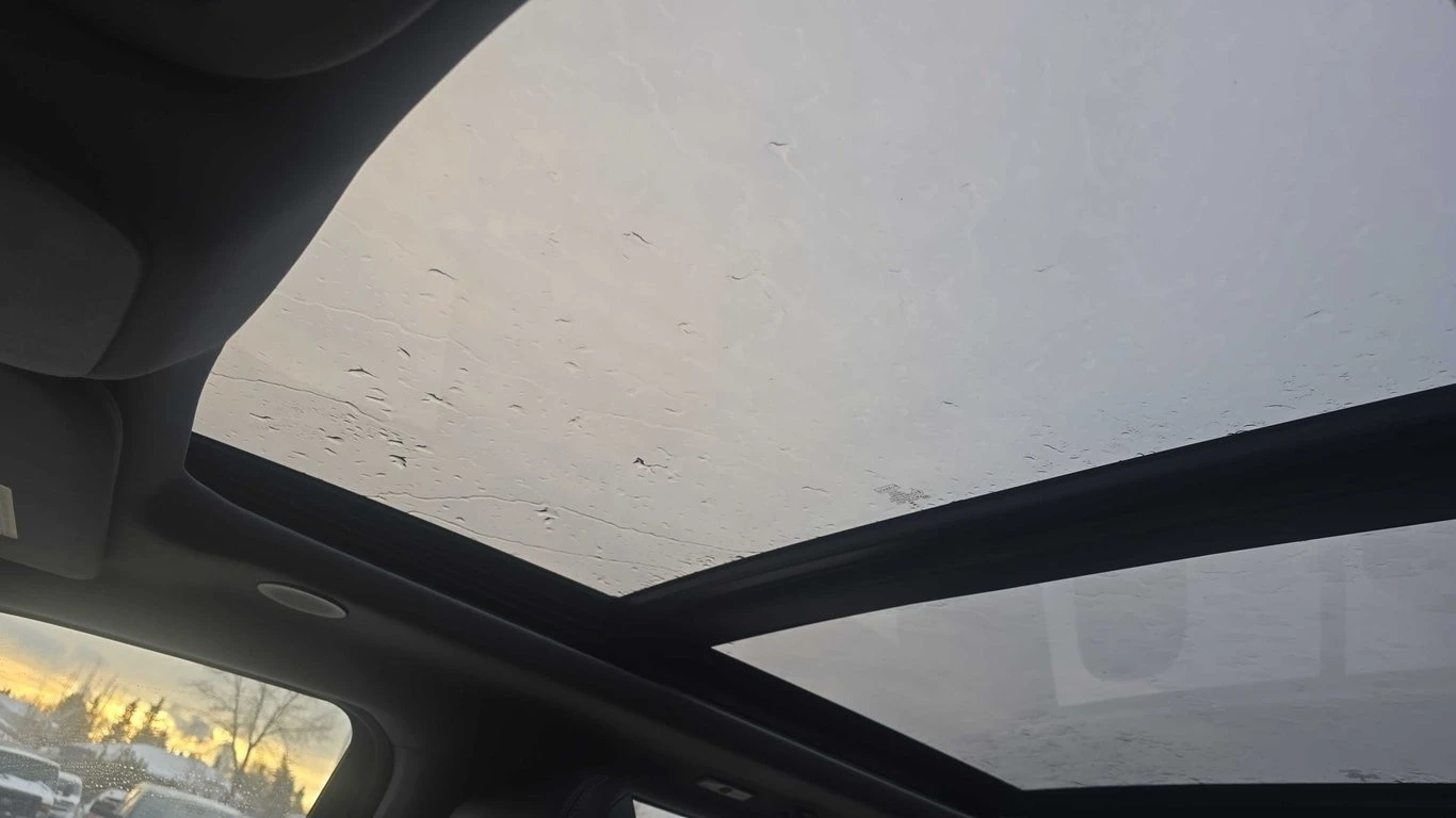 Ford F150 * 4WD SuperCrew Box * CARFAX *  | Mobile.bg � ����������� 13