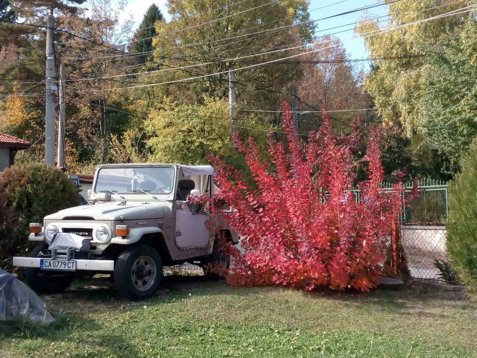 Toyota Land cruiser BJ40, снимка 3 - Автомобили и джипове - 55702247