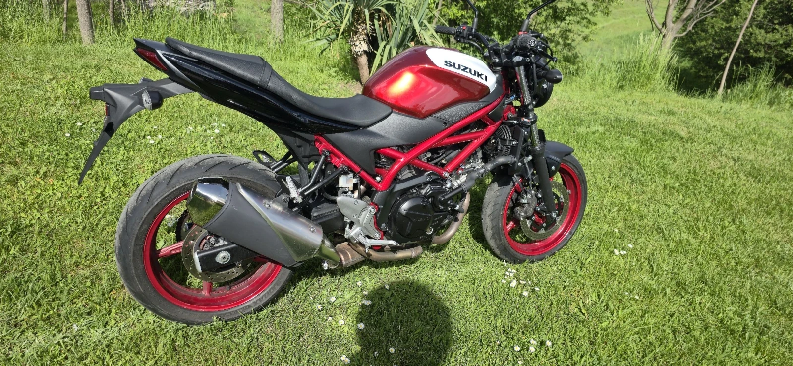 Suzuki SV, снимка 6 - Мотоциклети и мототехника - 54509131