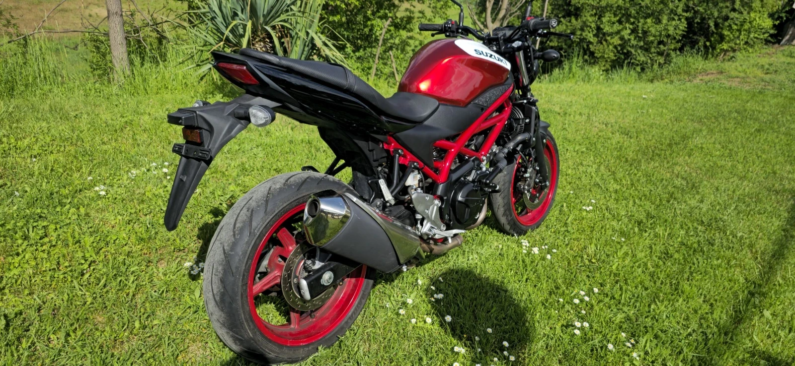 Suzuki SV, снимка 7 - Мотоциклети и мототехника - 54509131