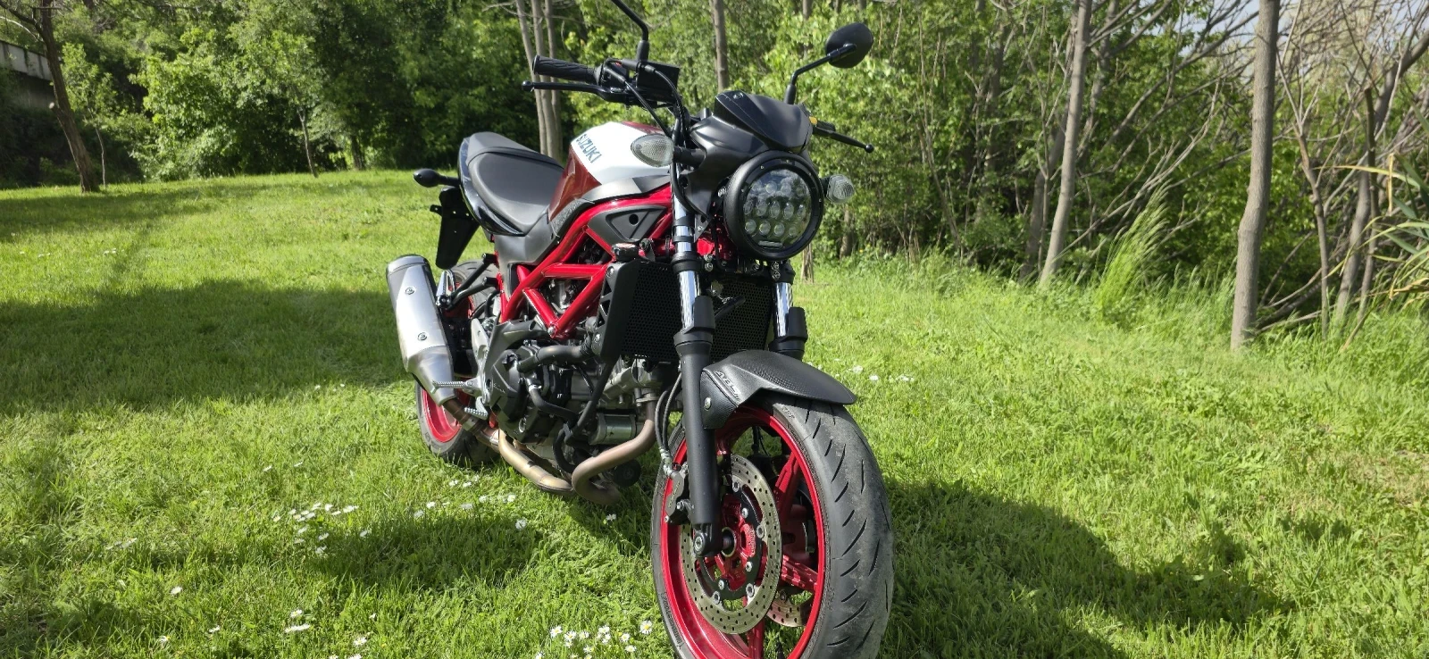 Suzuki SV