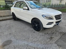  Mercedes-Benz ML 350