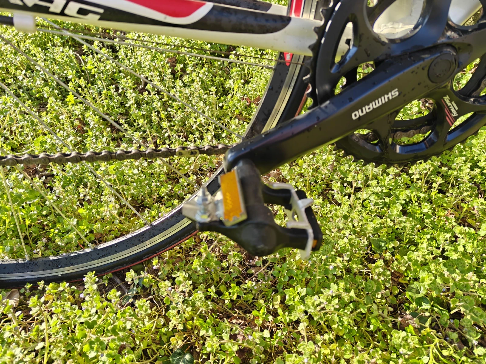 ������ Master  | Mobile.bg � ����������� 4