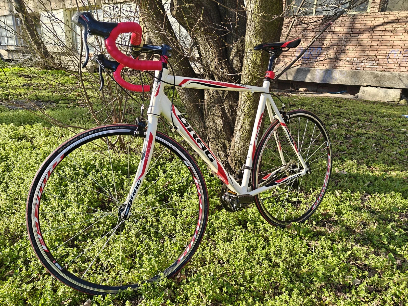 ������ Master  | Mobile.bg � ����������� 1